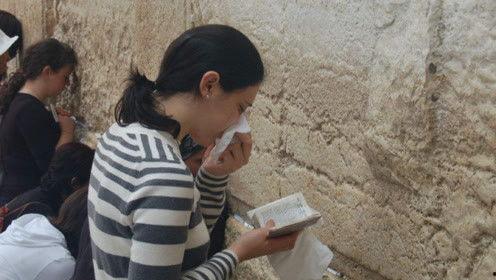 娱乐吃瓜君地址,探寻娱乐圈幕后故事